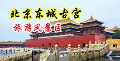 小穴被操爆视频中国北京-东城古宫旅游风景区